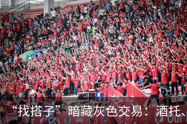 “找搭子”暗藏灰色交易：酒托、旅游托设局消费，24瓶啤酒收938元；有偿陪伴用“纯绿、半绿”暗语引流，有客服称有500多名“小姐姐”可选