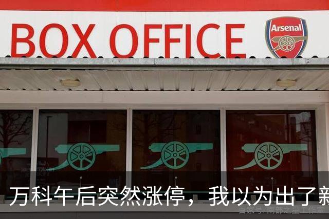万科午后突然涨停，我以为出了新利好，盘后发现消息早就公开了