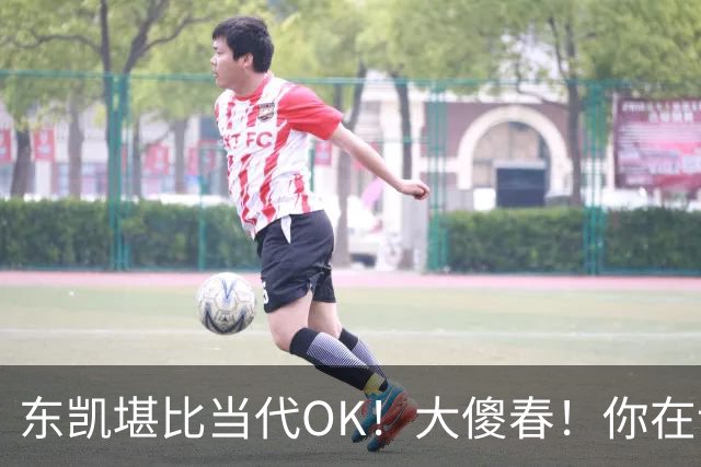 东凯堪比当代OK！大傻春！你在说什么！！
