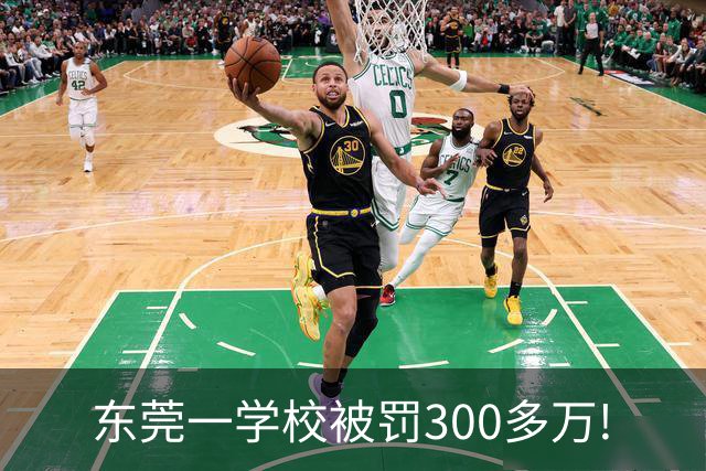 东莞一学校被罚300多万!