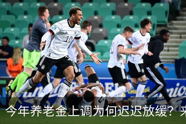 今年养老金上调为何迟迟放缓？来看看全国统筹养老金改革的复杂性