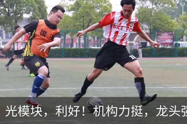 光模块，利好！机构力挺，龙头强势涨停！13只绩优潜力股曝光