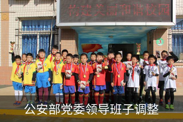 公安部党委领导班子调整