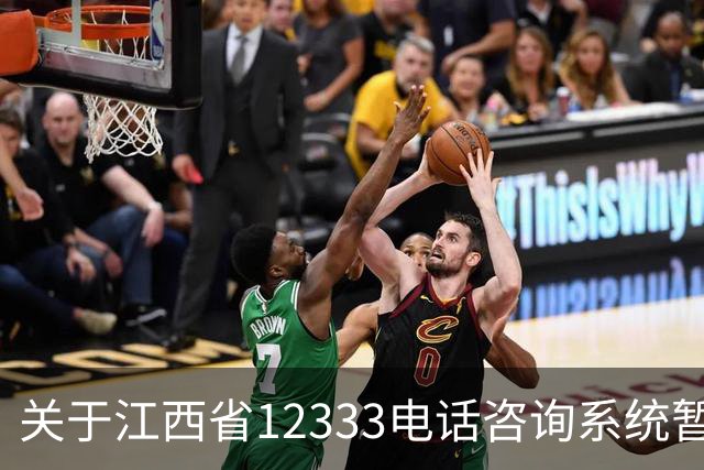 关于江西省12333电话咨询系统暂停服务的公告