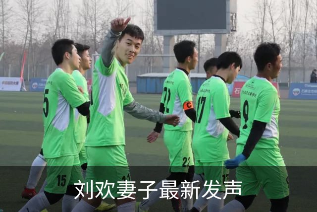 刘欢妻子最新发声