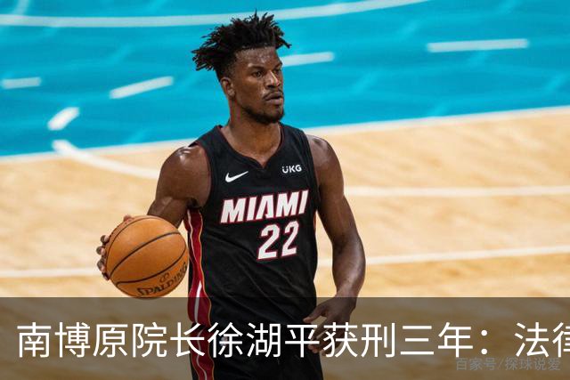 南博原院长徐湖平获刑三年：法律合规之下，文博公信力的全面丧失