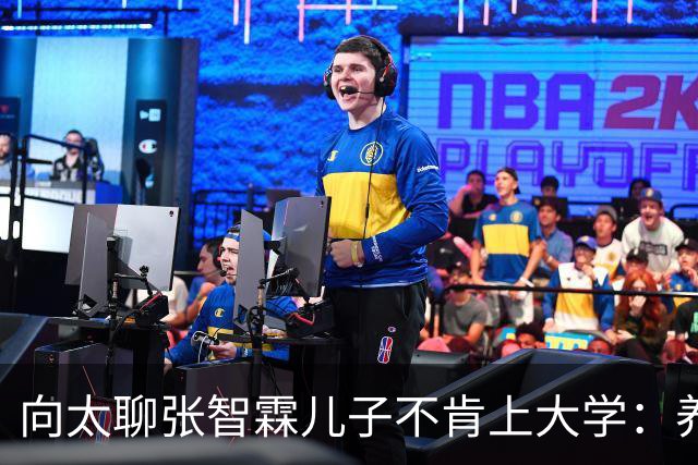 向太聊张智霖儿子不肯上大学：养孩子像开盲盒，相比砸钱鸡娃，培养孩子兜底能力更关键