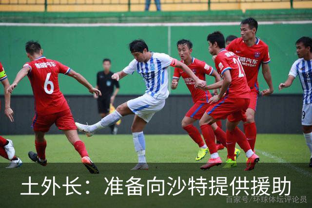 土外长：准备向沙特提供援助
