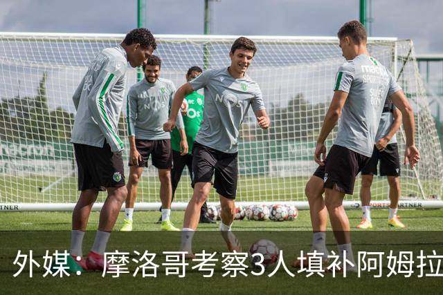 外媒：摩洛哥考察3人填补阿姆拉巴特空缺