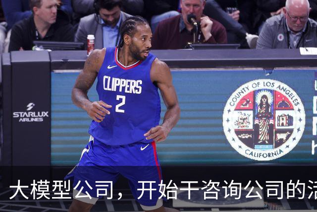 大模型公司，开始干咨询公司的活