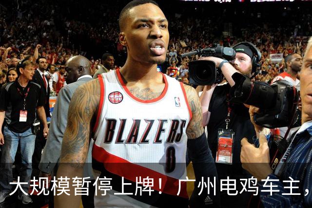 大规模暂停上牌！广州电鸡车主，要集体退货？