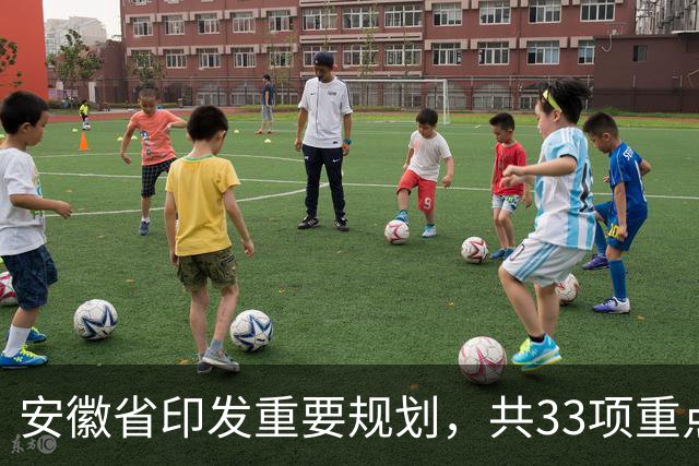 安徽省印发重要规划，共33项重点任务