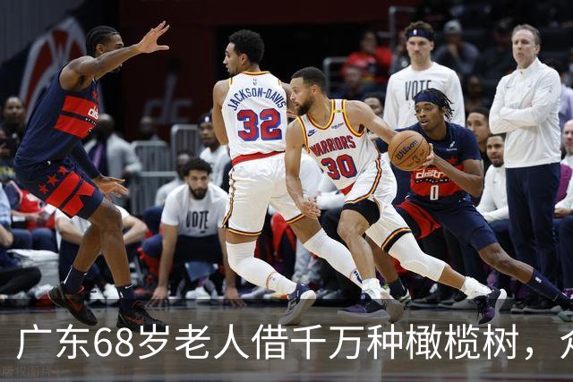 广东68岁老人借千万种橄榄树，众叛亲离，三年后一棵树值十万