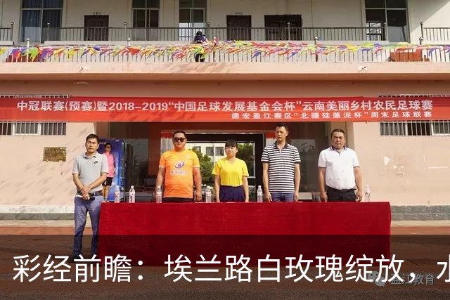 彩经前瞻：埃兰路白玫瑰绽放，水晶宫老鹰折翼！看好利兹联主场取胜