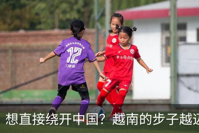 想直接绕开中国？越南的步子越迈越大，黎明兴直言，这场仗必须赢
