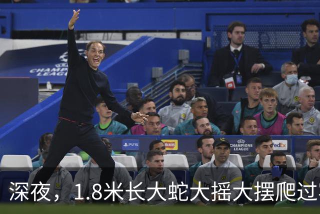 深夜，1.8米长大蛇大摇大摆爬过客厅！浙江男子翻看家中监控吓出一身冷汗：蛇还在家里……