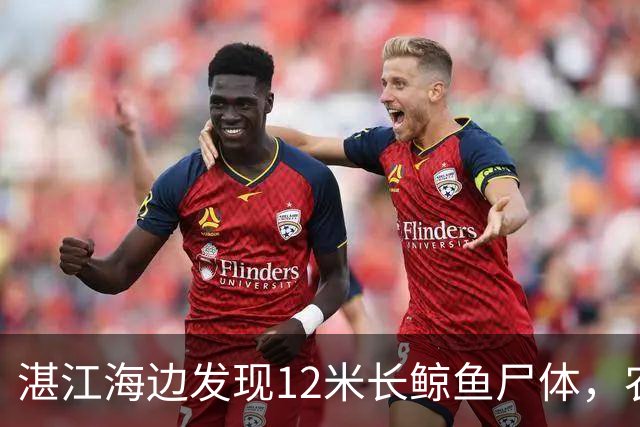 湛江海边发现12米长鲸鱼尸体，农业农村局：已漂走且有爆炸风险，请船只和人员勿靠近