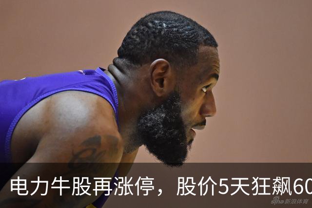 电力牛股再涨停，股价5天狂飙60%
