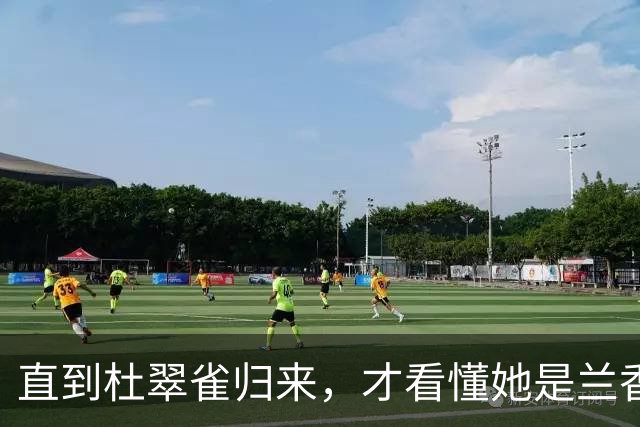 直到杜翠雀归来，才看懂她是兰香的亲妹妹沈嘉莲