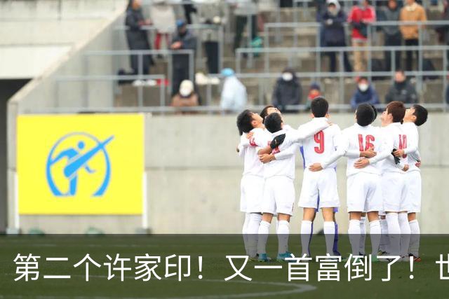 第二个许家印！又一首富倒了！世界500强也没那么强