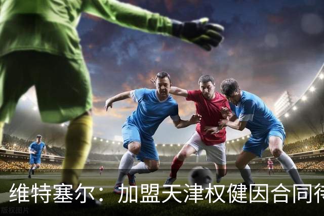维特塞尔：加盟天津权健因合同待遇让人难拒绝，去中国是为了钱