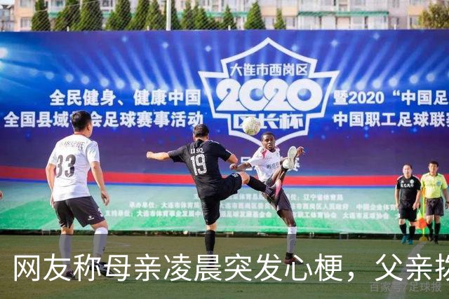 网友称母亲凌晨突发心梗，父亲拨打120时误入荣耀“魔法画报”难以退出，家属质疑耽误呼救