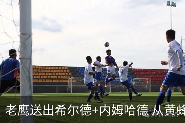 老鹰送出希尔德+内姆哈德 从黄蜂得到芬尼-史密斯