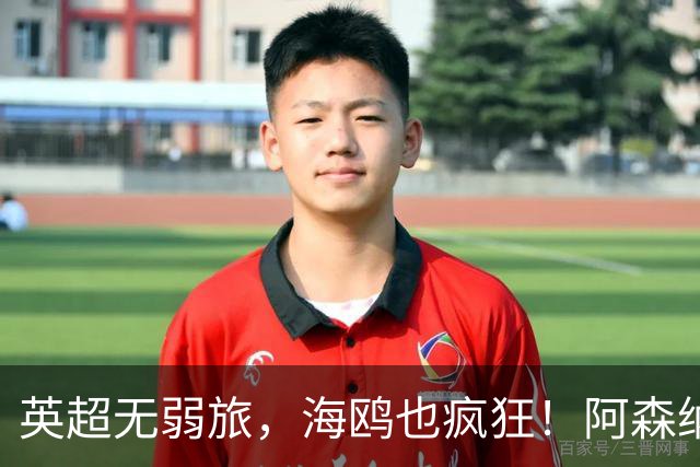 英超无弱旅，海鸥也疯狂！阿森纳3球惨败，拉亚成了远射背景板