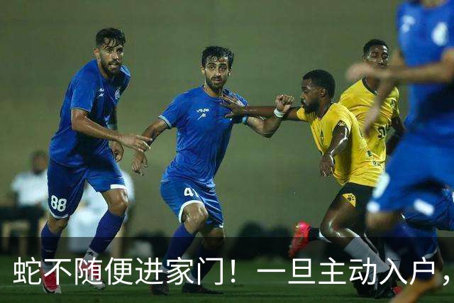 蛇不随便进家门！一旦主动入户，其实是在传递3个重要信号