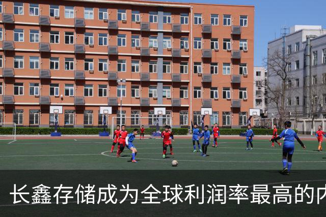 长鑫存储成为全球利润率最高的内存厂 超越三星美光