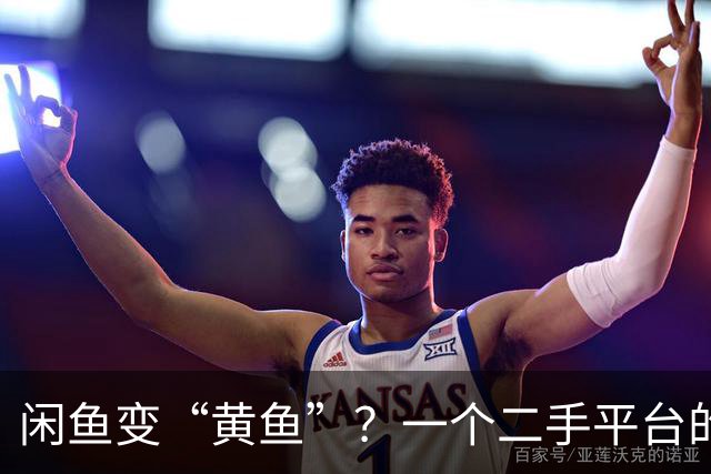 闲鱼变“黄鱼”？一个二手平台的暗语生意