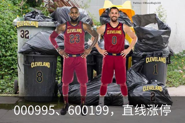 000995、600199，直线涨停