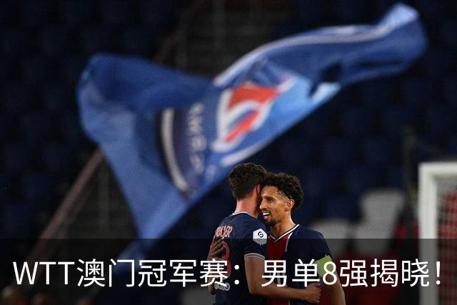 WTT澳门冠军赛：男单8强揭晓！张本智和30完胜晋级，力争冠军
